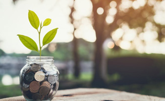 Jar of coins with a plant growing out of it